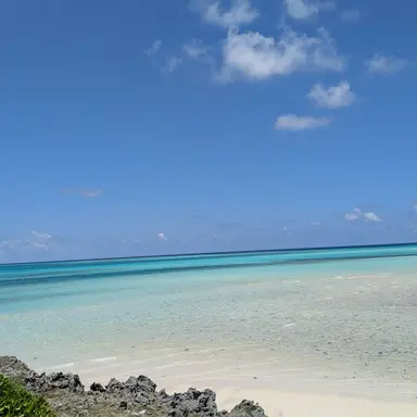 Profile image of めちゃつぇー