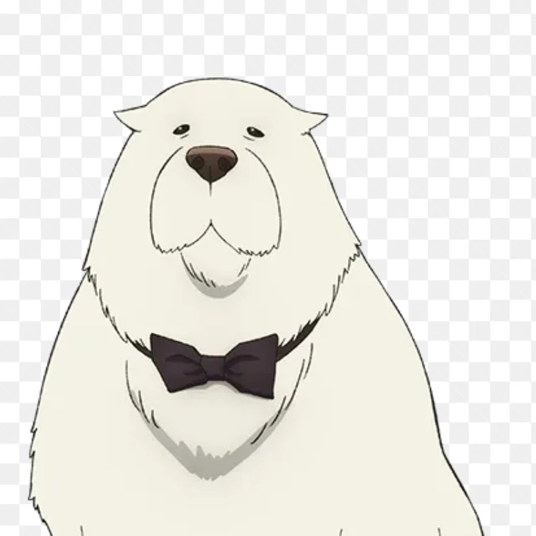 본드