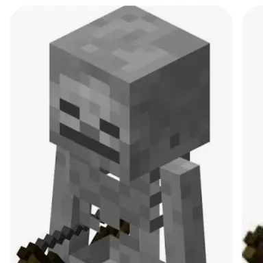 Profile image of 스켈레톤