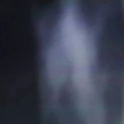 신아림