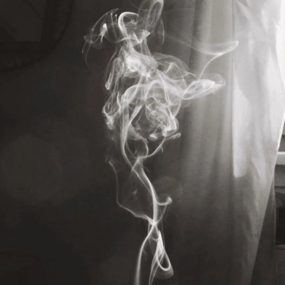 kitanaikoi의 차지호