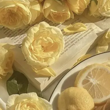 Profile image of 김각별