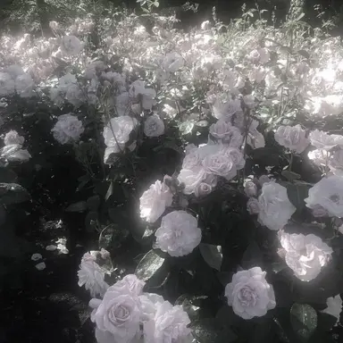 Profile image of 유지민