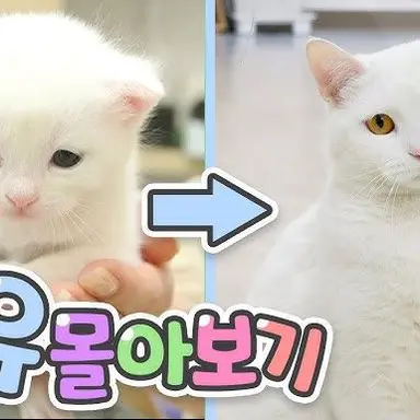 Profile image of 우유