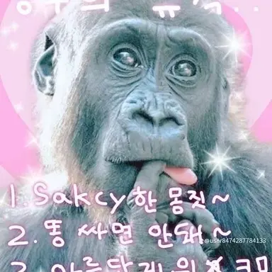 Profile image of 여우연