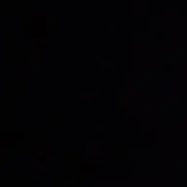 Profile image of 나윤서