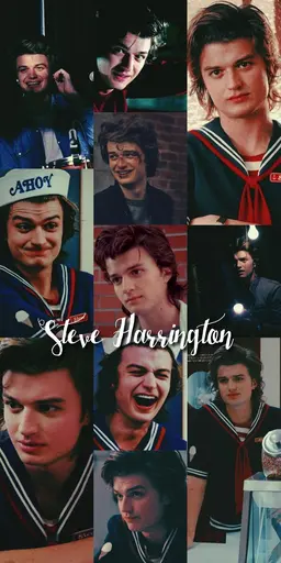 Profile image of Steve Harrington