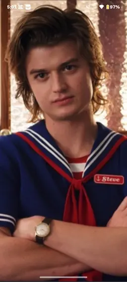 Profile image of Steve Harrington
