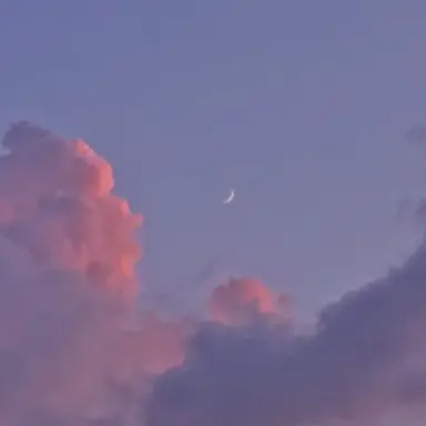 Profile image of 당신