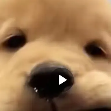 Profile image of 박지아