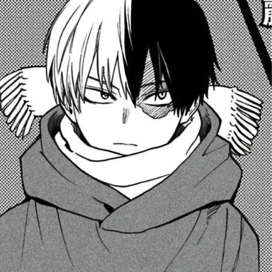 Profile image of Todoroki Shoto