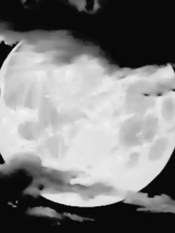 Arpegius_5555의 Piano Sonata 'Moonlight' Murders