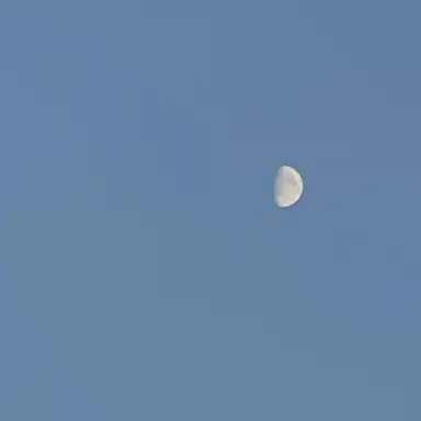 Profile image of 진다범