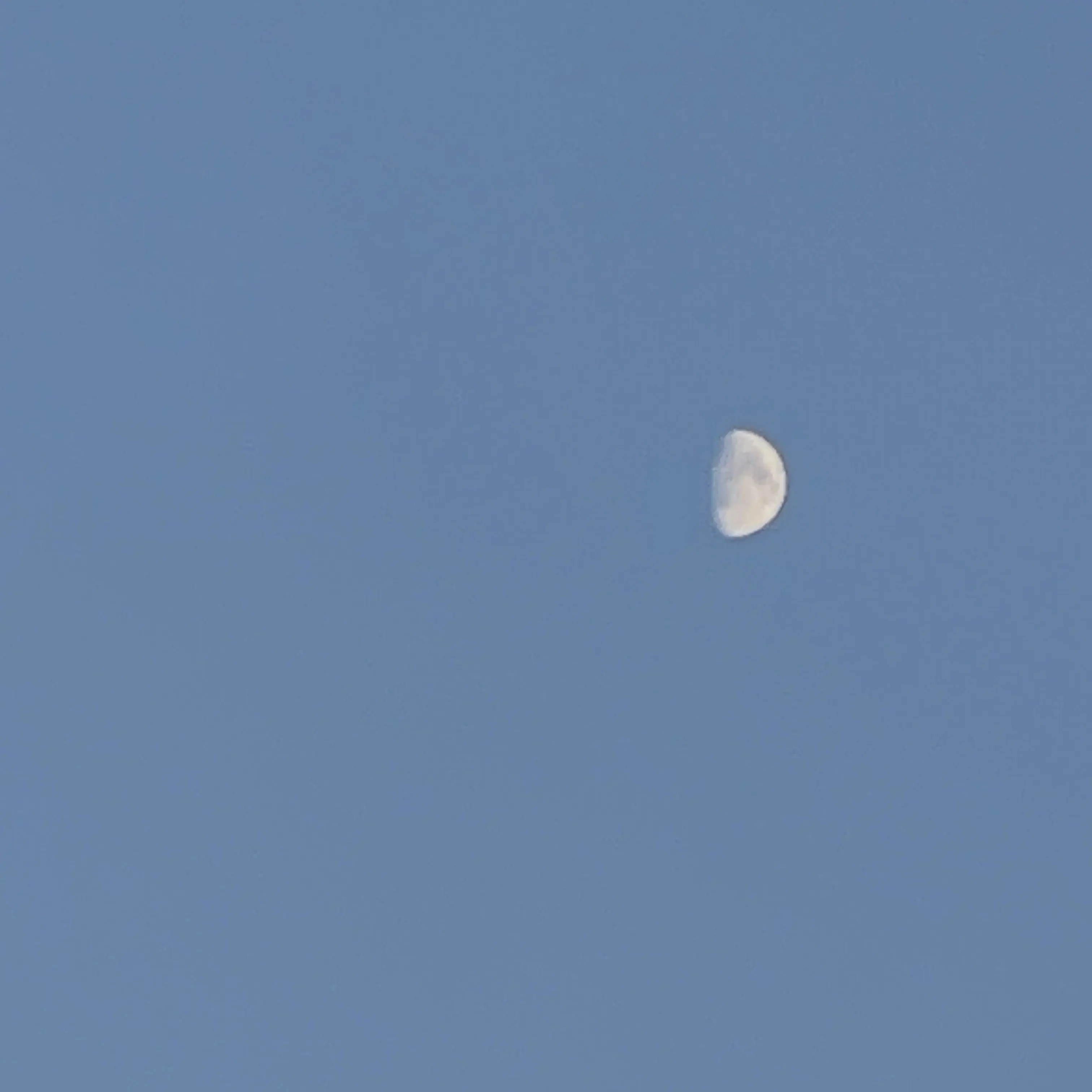 ogrji1의 밤이되었습니다