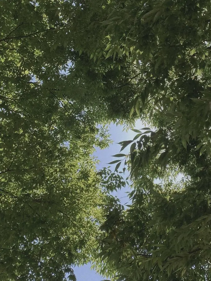 Paradies_here의 ㅤ