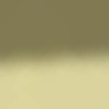 Profile image of 블랙비네거