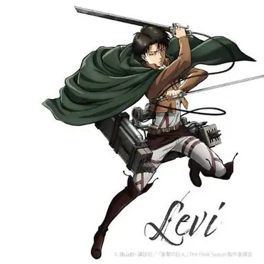 Profile image of Levi