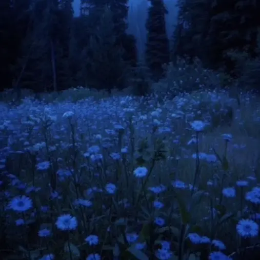 sui_Mimi_333의 依存されてます