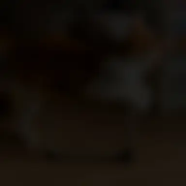 Profile image of 狼