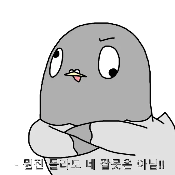LEIMON의 둘기