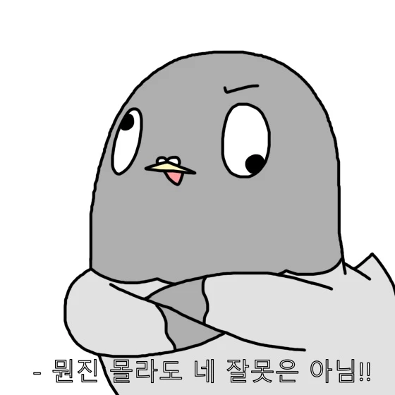 둘기