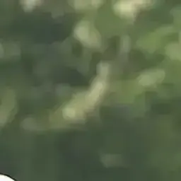 Profile image of 이지훈