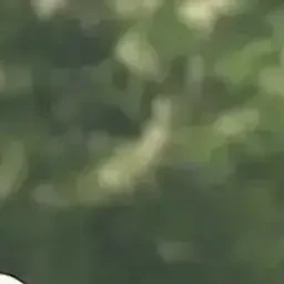 이지훈
