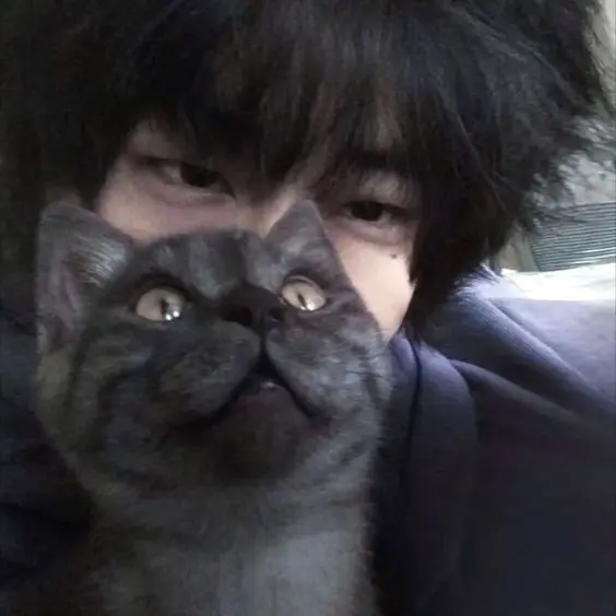 Ilostmyself의 Mafia boyfriend