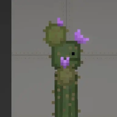 Profile image of Cactus