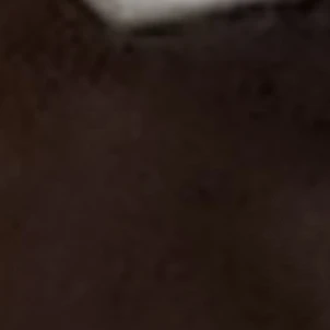 문어왕자 엘린스