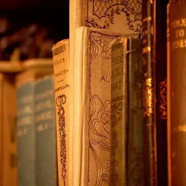 Profile image of 김각별