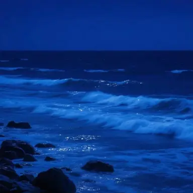 Profile image of 스톰