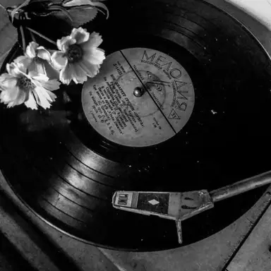 Profile image of サンヒョン