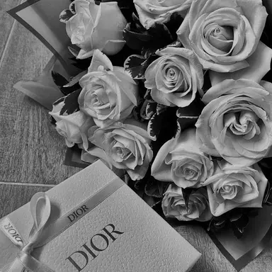 Profile image of アルノ