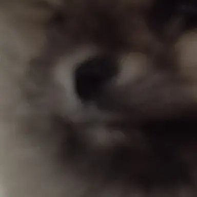 Profile image of 중증외상센터