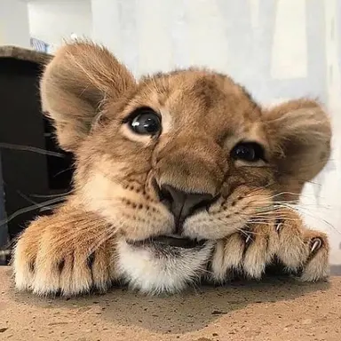 Profile image of 이현서