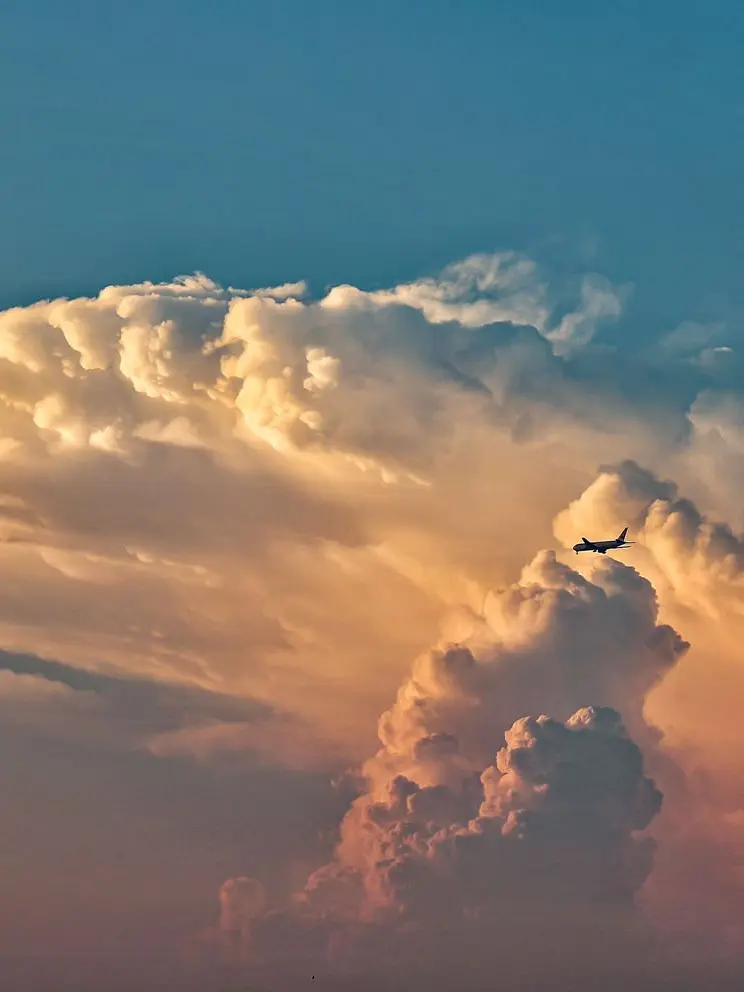 big_curfew의 悲しいね