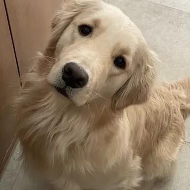 Profile image of 절미