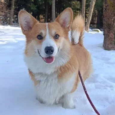 Profile image of 달이