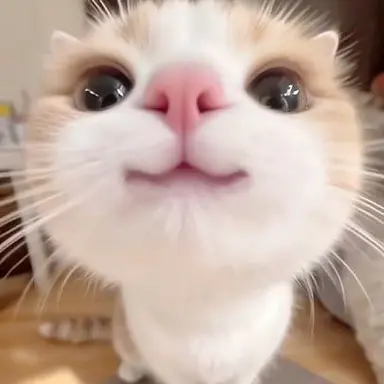 Profile image of 김하온