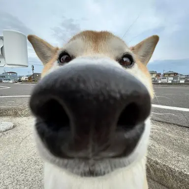 Profile image of 우슬라임
