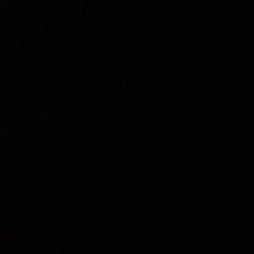 BruteGoral5646의 정지훈