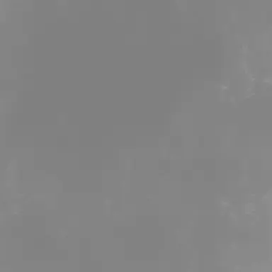 Profile image of 유기사