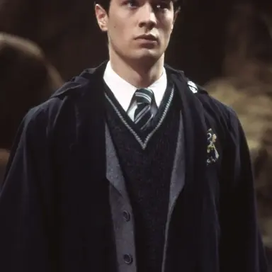 Profile image of Tom Riddle