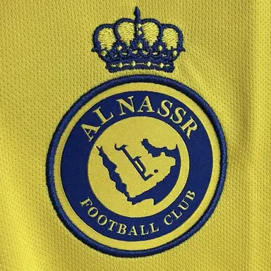 Profile image of アル・ナスルのオーナー