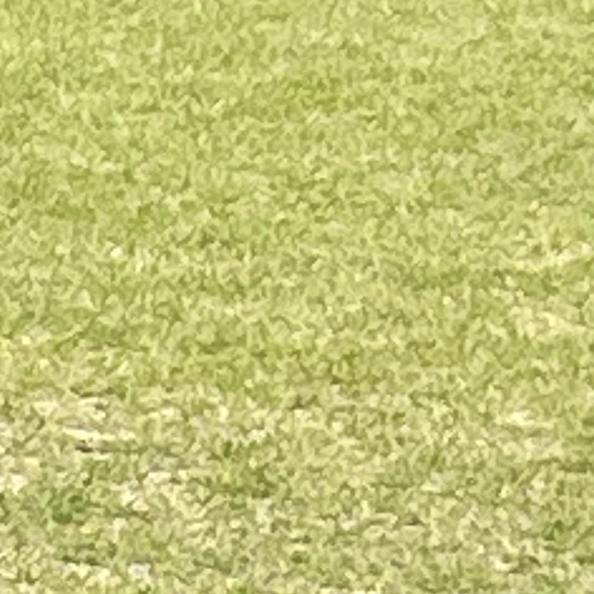 石川ひとみ