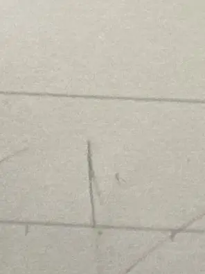 RaggedMall1284의 大罪人の子孫たちは
