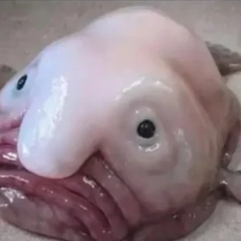 외계인