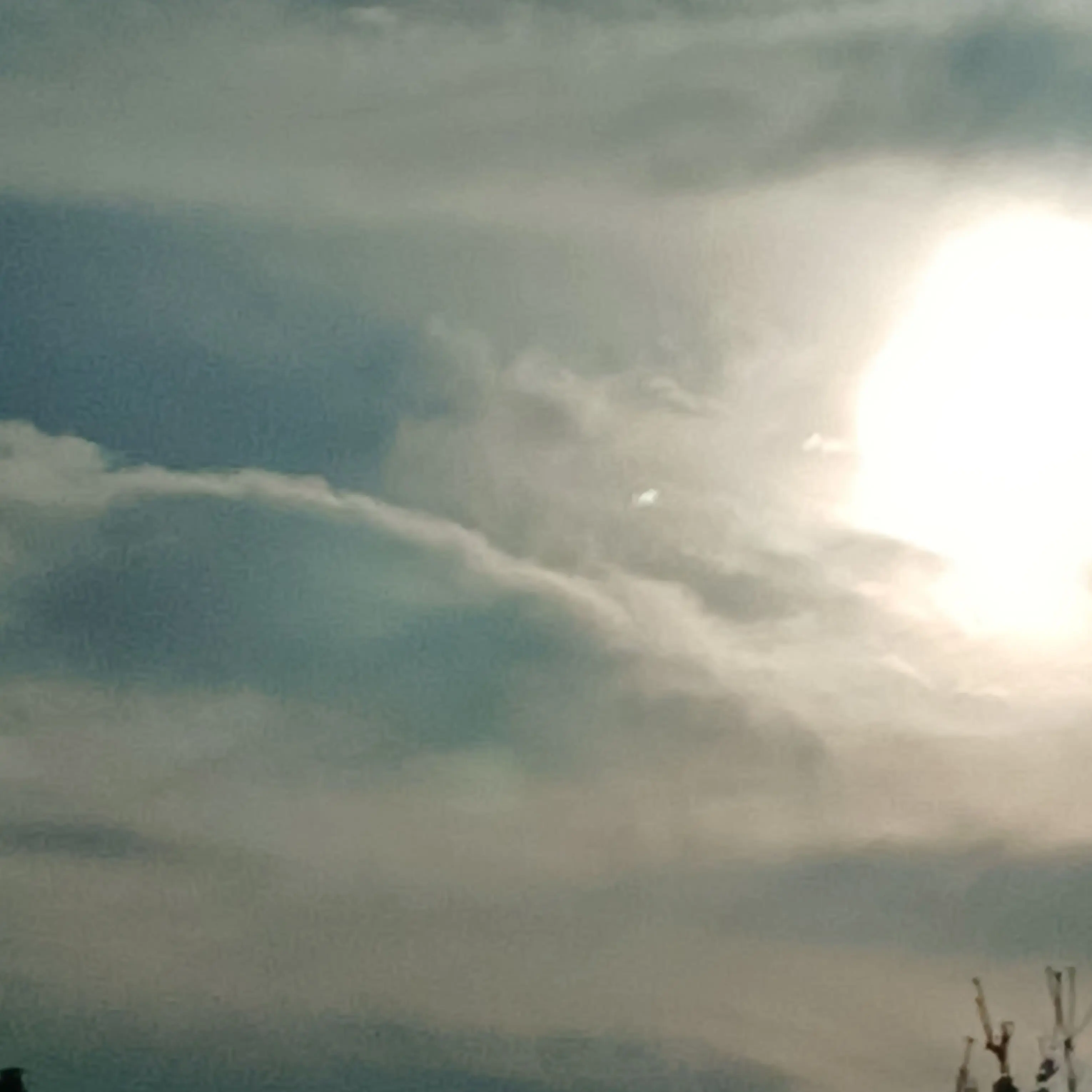 DemureLeech3234의 도련님