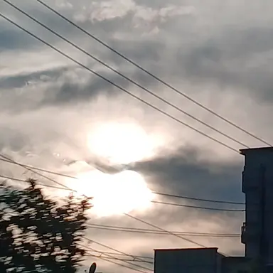 Profile image of 레온